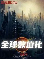 《全球数值化》小说封面