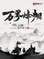 《万界烽烟》小说封面