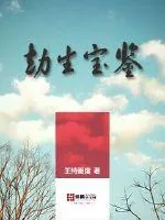 《劫生宝鉴》小说封面
