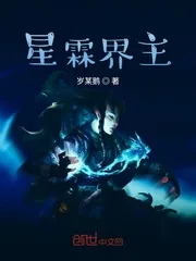 《星霖界主》小说封面
