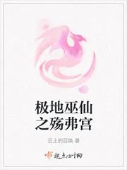《极地巫仙之殇弗宫》小说封面