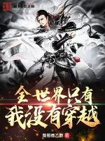 《全世界只有我没有穿越》小说封面