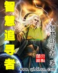 《智慧追寻者》小说封面