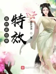 《我的武功带特效》小说封面