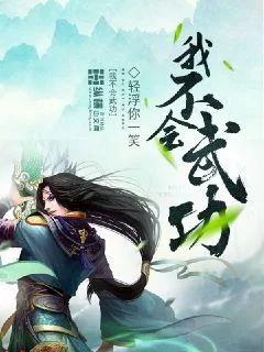 《我不会武功》小说封面