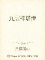 《九层神塔传》小说封面