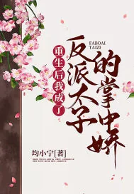 《重生后我成了反派太子的掌中娇》小说封面