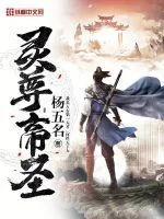 《灵尊帝圣》小说封面