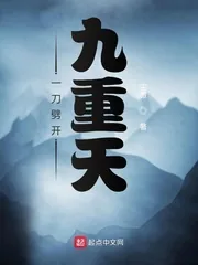 《一刀劈开九重天》小说封面