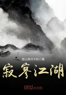 《寂寥江湖》小说封面