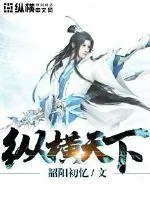《纵横天下》小说封面