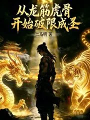 《从龙筋虎骨开始破限成圣》小说封面