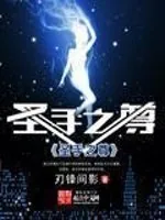《圣手之尊》小说封面