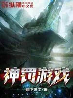 《神罚游戏》小说封面