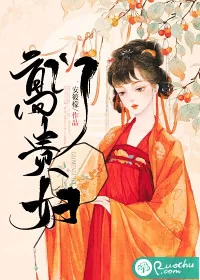《高门贵妇》小说封面