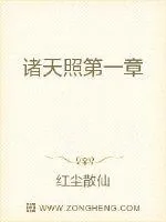 《诸天照》小说封面