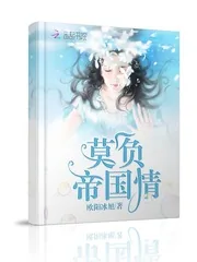 《莫负帝国情》小说封面