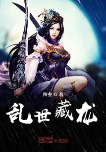 《乱世藏龙》小说封面