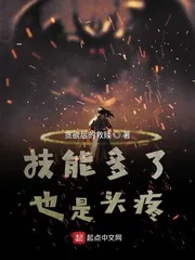 《技能多了也是头疼》小说封面