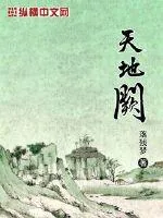 《天地阙》小说封面