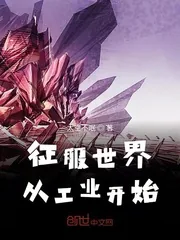 《征服世界从工业开始》小说封面