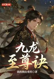 《九龙至尊诀》小说封面