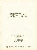 《剑道飞仙》小说封面