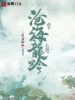 《沧海龙吟》小说封面