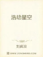 《浩劫星空》小说封面