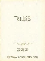 《飞仙纪》小说封面