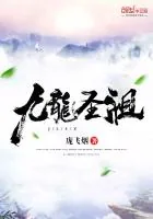 《九龙圣祖》小说封面