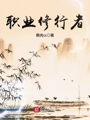 《职业修行者》小说封面
