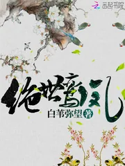 《绝世鸾凤》小说封面