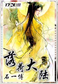 《落荷大陆》小说封面
