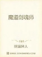 《魔道剑魂师》小说封面
