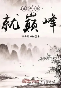 《我开局就巅峰》小说封面