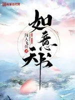 《如意天书》小说封面