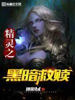 《精灵之黑暗救赎》小说封面