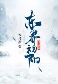 《东界初阳》小说封面