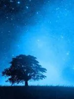 《群星游记》小说封面