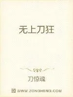 《无上刀狂》小说封面