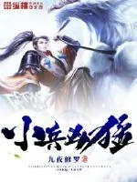 《小兵凶猛》小说封面