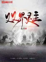 《双界灵主》小说封面