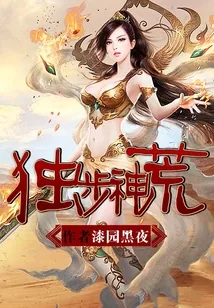 《独步神荒》小说封面