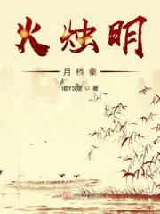 《火烛明月楼秦》小说封面