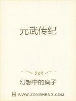 《元武传纪》小说封面