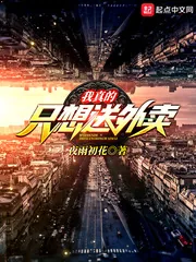 《我真的只想送外卖》小说封面