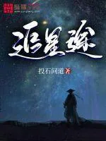 《追星途》小说封面