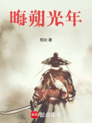 《晦朔光年》小说封面