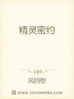 《精灵密约》小说封面
